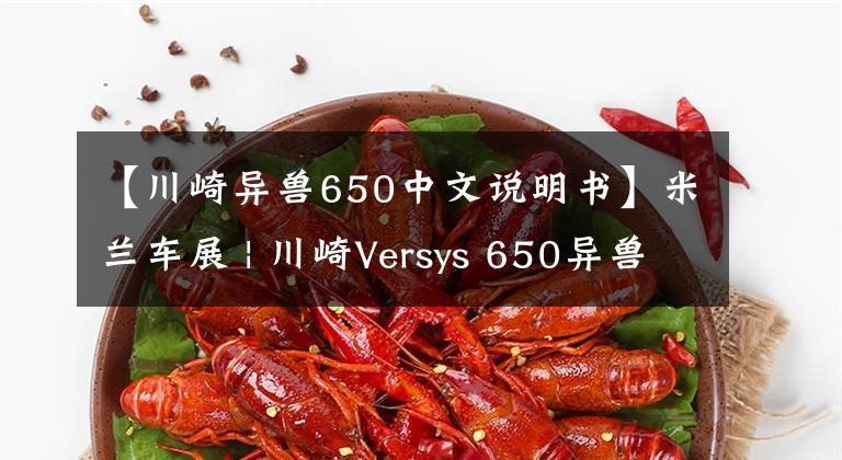 【川崎异兽650中文说明书】米兰车展 | 川崎Versys 650异兽改款，加入牵引力控制、全彩液晶仪表