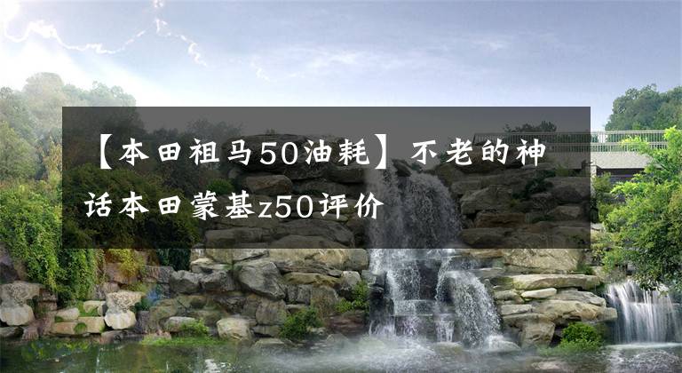 【本田祖马50油耗】不老的神话本田蒙基z50评价