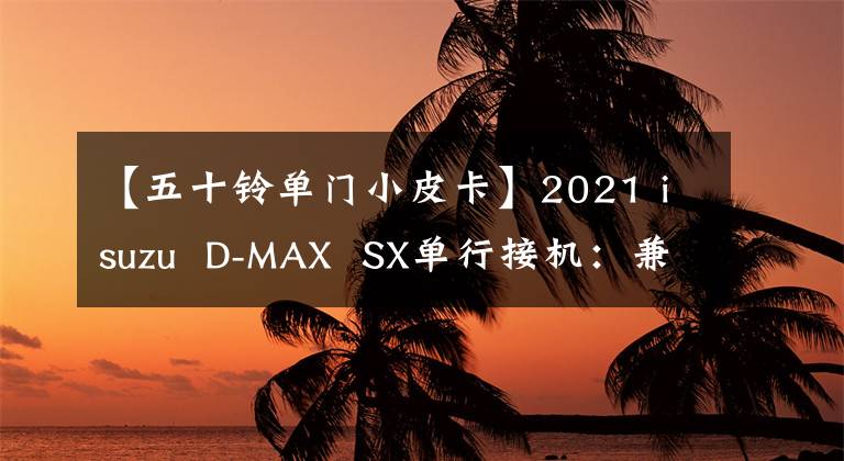 【五十铃单门小皮卡】2021 isuzu  D-MAX  SX单行接机：兼职货物专用设备