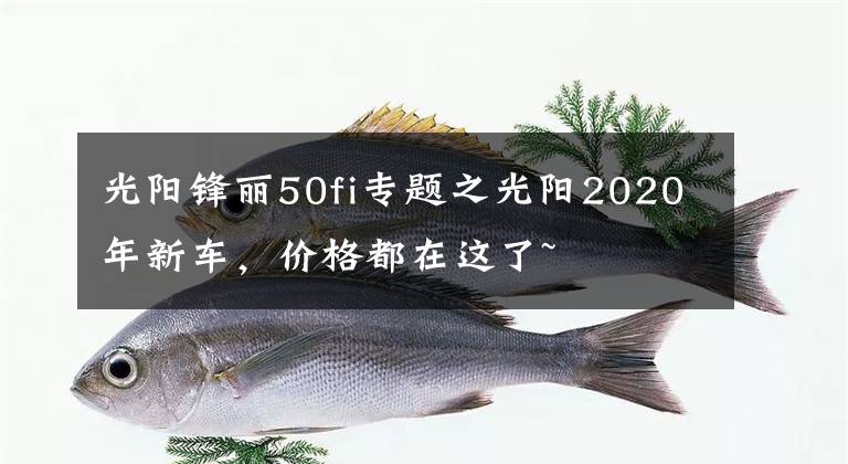 光阳锋丽50fi专题之光阳2020年新车，价格都在这了~