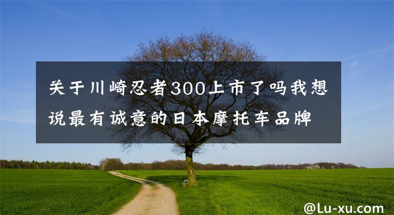 关于川崎忍者300上市了吗我想说最有诚意的日本摩托车品牌发布国内首款300cc级ADV，价格惊喜！