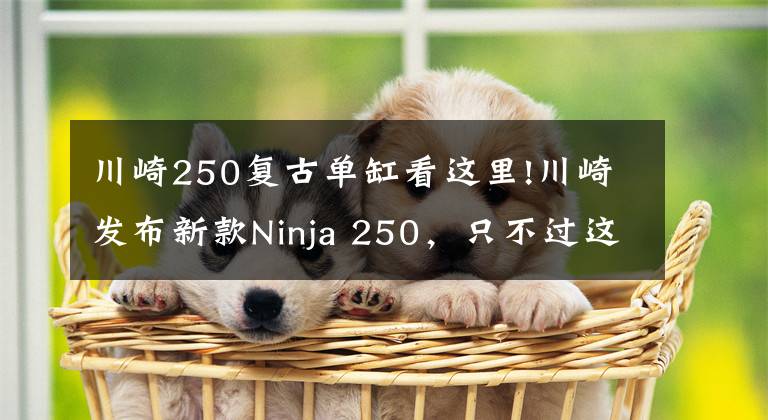 川崎250复古单缸看这里!川崎发布新款Ninja 250，只不过这次是单缸的SL