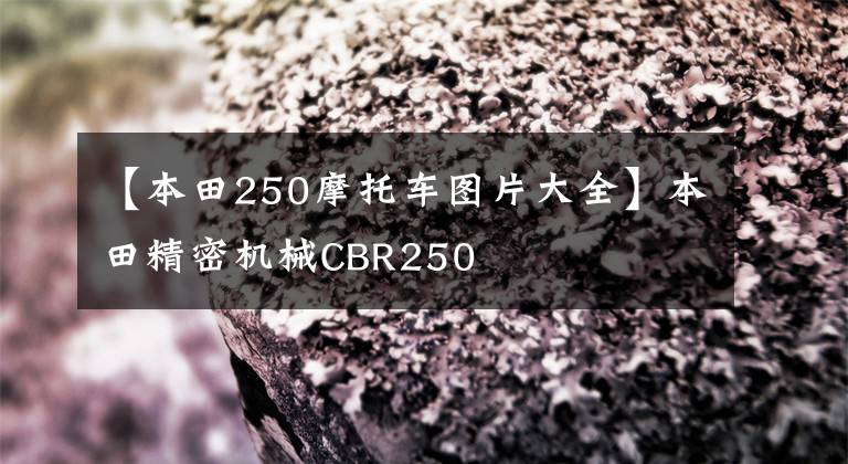 【本田250摩托车图片大全】本田精密机械CBR250