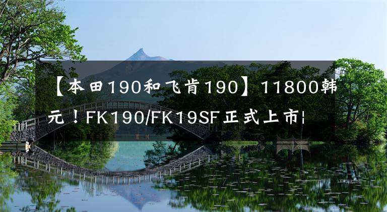 【本田190和飞肯190】11800韩元！FK190/FK19SF正式上市| |FK300系列上市