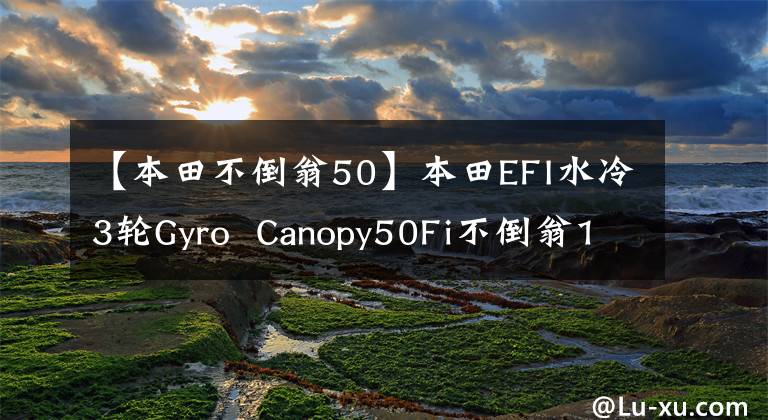 【本田不倒翁50】本田EFI水冷3轮Gyro  Canopy50Fi不倒翁14个。