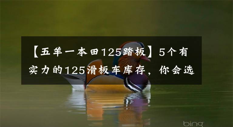 【五羊一本田125踏板】5个有实力的125滑板车库存，你会选择谁？