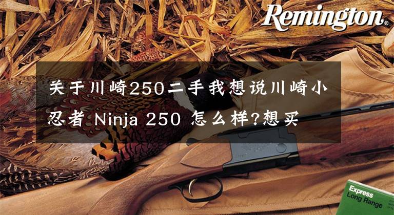 关于川崎250二手我想说川崎小忍者 Ninja 250 怎么样?想买的看进来