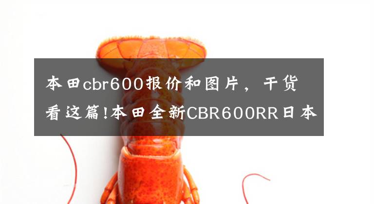 本田cbr600报价和图片，干货看这篇!本田全新CBR600RR日本上市，售价比ZX-6R贵20%