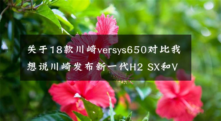 关于18款川崎versys650对比我想说川崎发布新一代H2 SX和VERSYS 650，电控大幅进阶，颜值也有提升