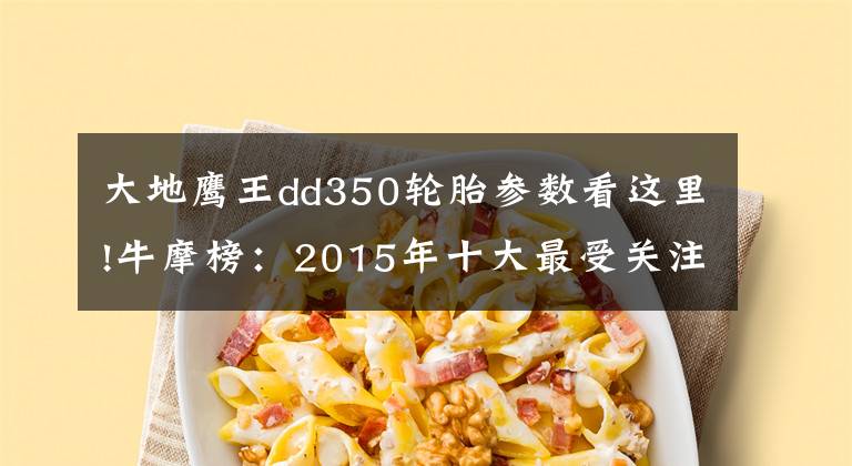 大地鹰王dd350轮胎参数看这里!牛摩榜：2015年十大最受关注太子车