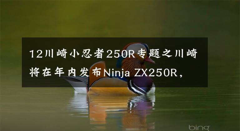 12川崎小忍者250R专题之川崎将在年内发布Ninja ZX250R，搭载全新研发的直列四缸引擎