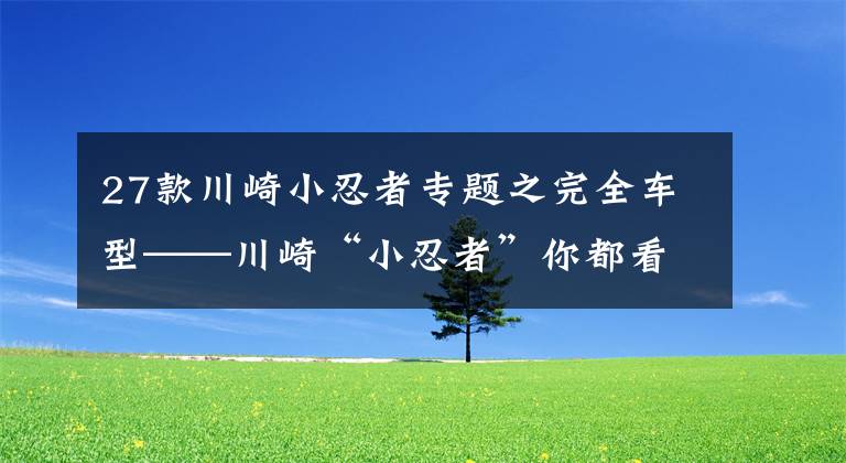 27款川崎小忍者专题之完全车型——川崎“小忍者”你都看清了吗？