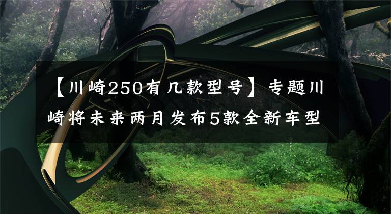 【川崎250有几款型号】专题川崎将未来两月发布5款全新车型，或将包括四缸250和Z400RS？