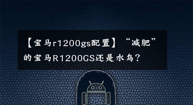 【宝马r1200gs配置】“减肥”的宝马R1200GS还是水鸟？