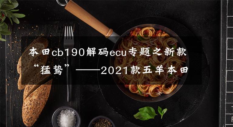 本田cb190解码ecu专题之新款“猛鸷”——2021款五羊本田CB190X，售价16680元起
