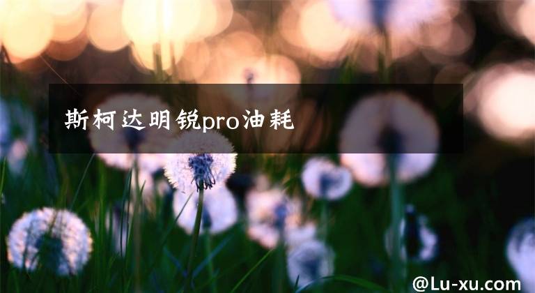 斯柯达明锐pro油耗