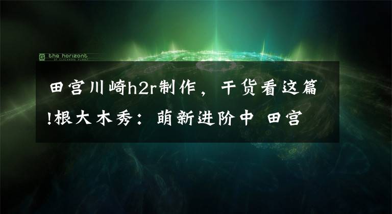 田宫川崎h2r制作，干货看这篇!根大木秀：萌新进阶中 田宫 川崎 忍者 Ninja H2R 完工