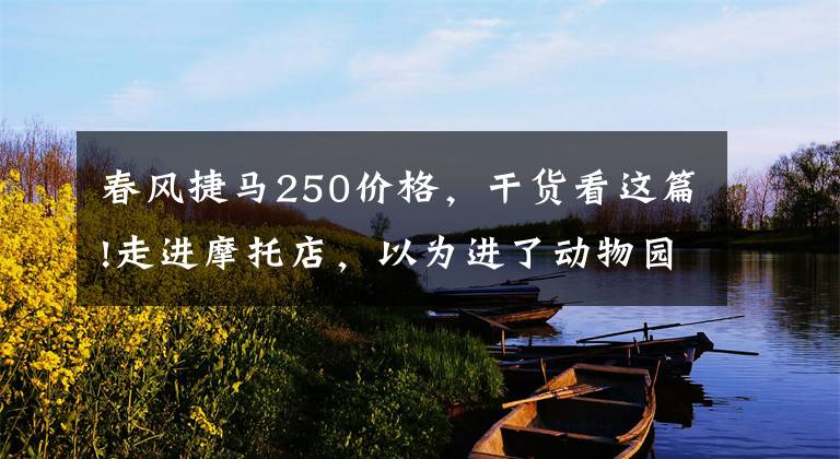 春风捷马250价格，干货看这篇!走进摩托店，以为进了动物园，不数不知道一数停不了