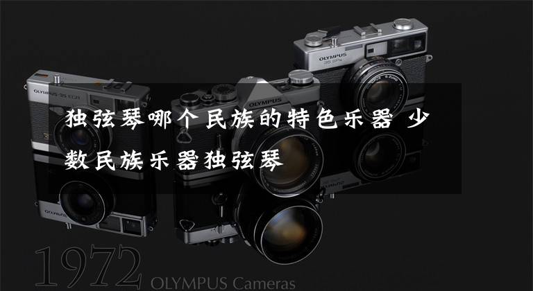 独弦琴哪个民族的特色乐器 少数民族乐器独弦琴文章配图