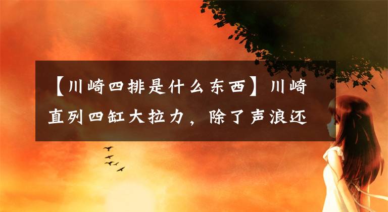 【川崎四排是什么东西】川崎直列四缸大拉力，除了声浪还兼顾性能