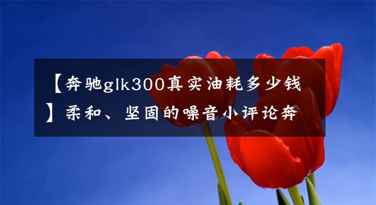 【奔驰glk300真实油耗多少钱】柔和、坚固的噪音小评论奔驰GLK  300