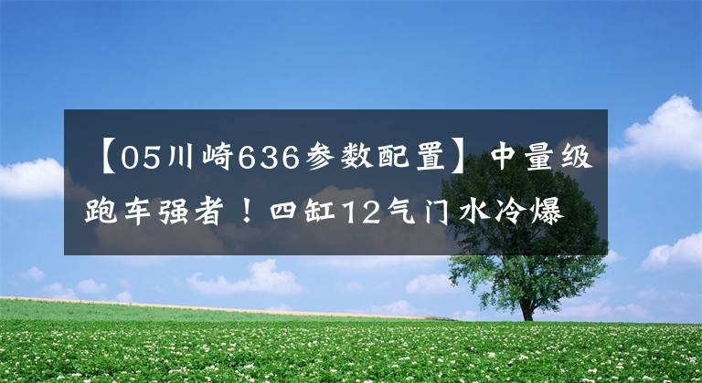 【05川崎636参数配置】中量级跑车强者！四缸12气门水冷爆137匹马力，不惧竞争