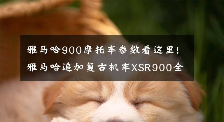 雅马哈900摩托车参数看这里!雅马哈追加复古机车XSR900全新配色