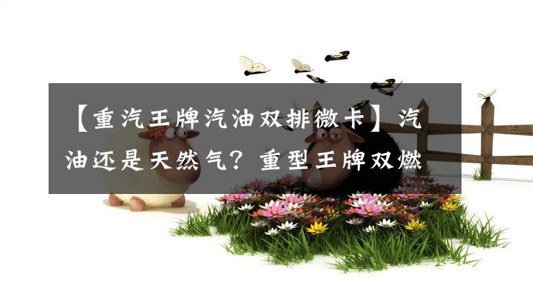 【重汽王牌汽油双排微卡】汽油还是天然气？重型王牌双燃料微卡曝光