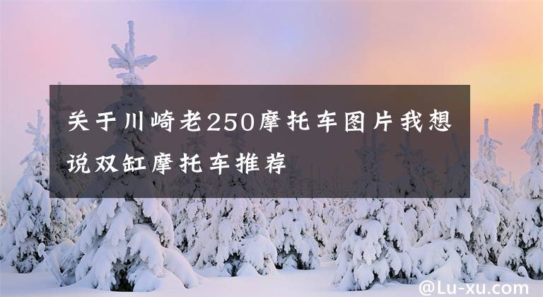 关于川崎老250摩托车图片我想说双缸摩托车推荐