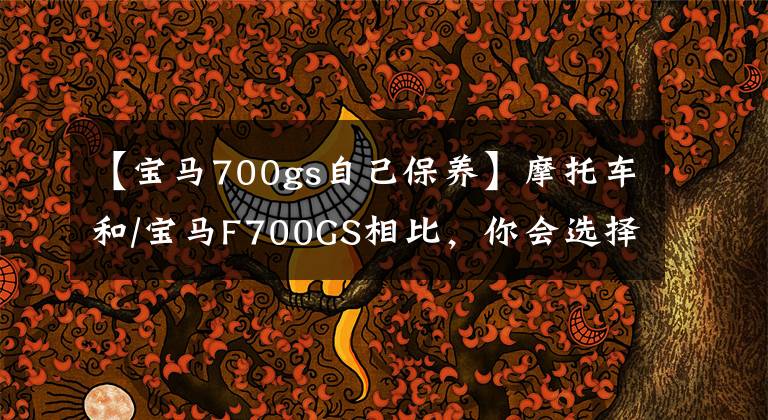 【宝马700gs自己保养】摩托车和/宝马F700GS相比，你会选择吗？