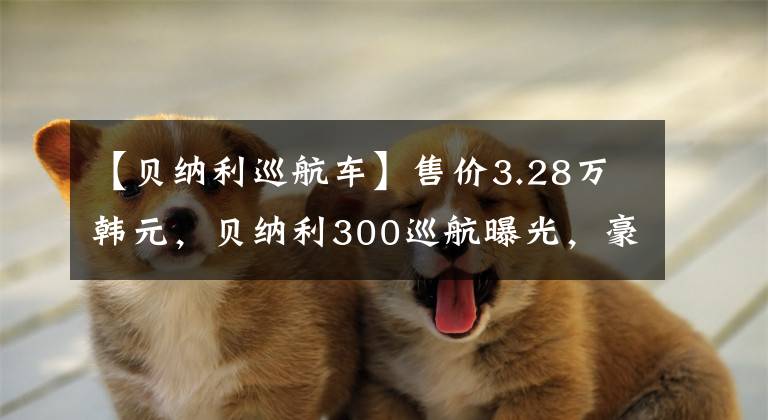 【贝纳利巡航车】售价3.28万韩元，贝纳利300巡航曝光，豪爵铃木DL250的节奏