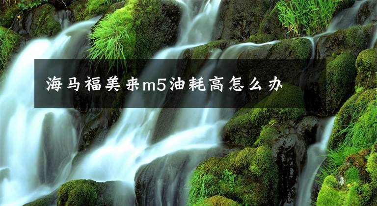 海马福美来m5油耗高怎么办