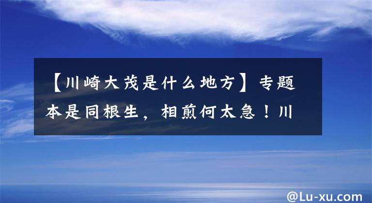 【川崎大茂是什么地方】专题本是同根生，相煎何太急！川崎摩托选车故事