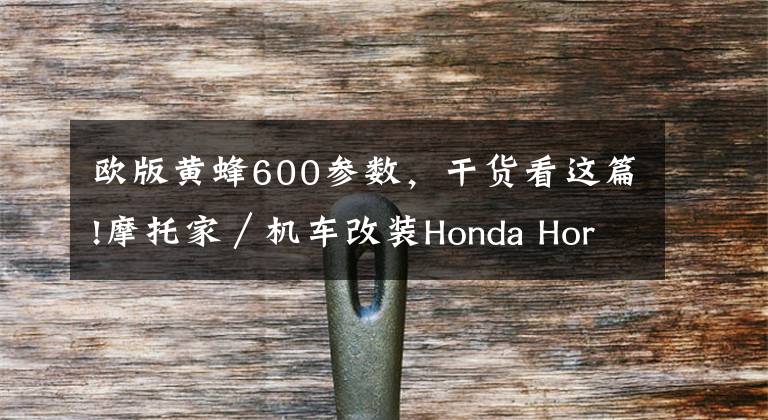 欧版黄蜂600参数，干货看这篇!摩托家／机车改装Honda Hornet 600