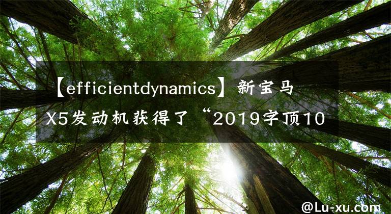 【efficientdynamics】新宝马X5发动机获得了“2019字顶10发动机”奖