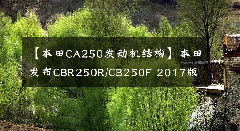 【本田CA250发动机结构】本田发布CBR250R/CB250F 2017版