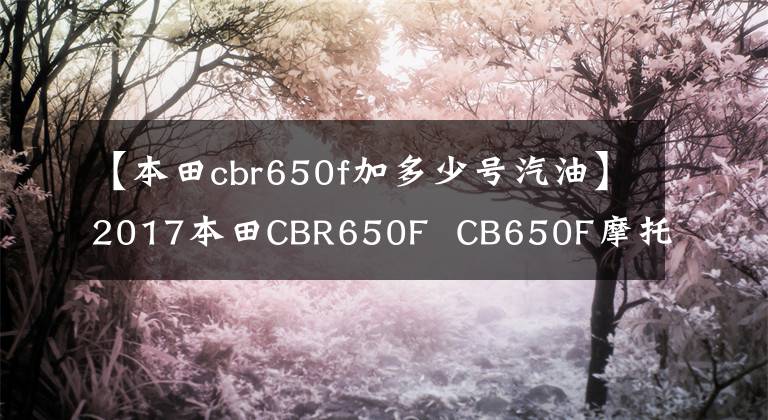 【本田cbr650f加多少号汽油】2017本田CBR650F  CB650F摩托车试车