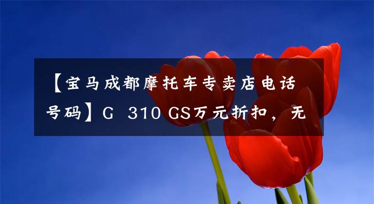 【宝马成都摩托车专卖店电话号码】G  310 GS万元折扣，无息，还可以享受换货，还可以近距离接送。