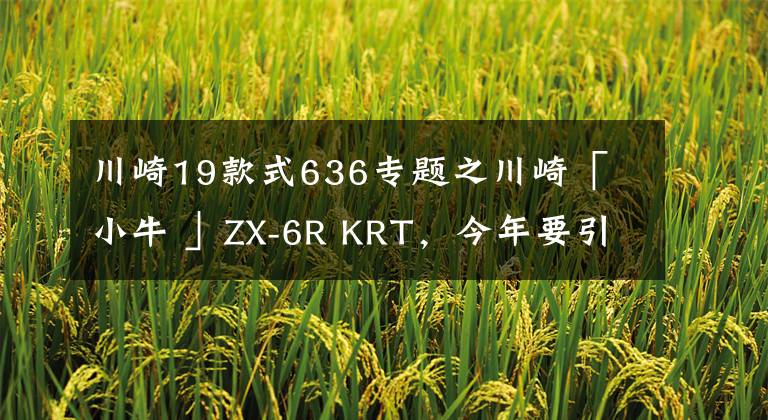 川崎19款式636专题之川崎「 小牛 」ZX-6R KRT，今年要引进？