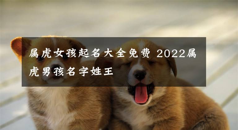 属虎女孩起名大全免费 2022属虎男孩名字姓王