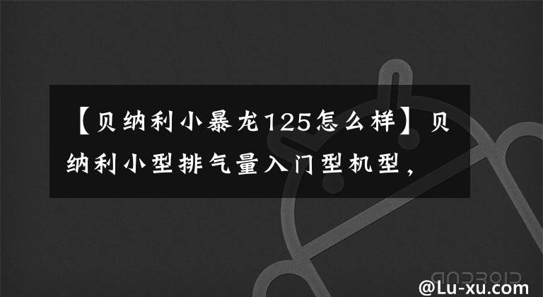 【贝纳利小暴龙125怎么样】贝纳利小型排气量入门型机型，小型迅猛龙、红龙、霸王龙更新2022