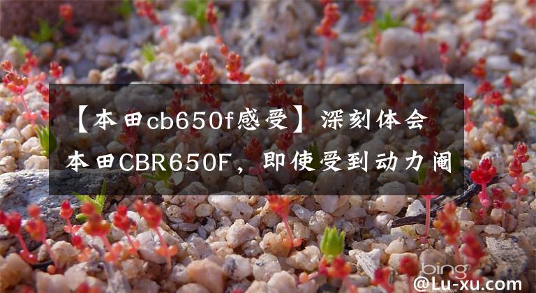 【本田cb650f感受】深刻体会本田CBR650F，即使受到动力阉割也是3秒，速度230。