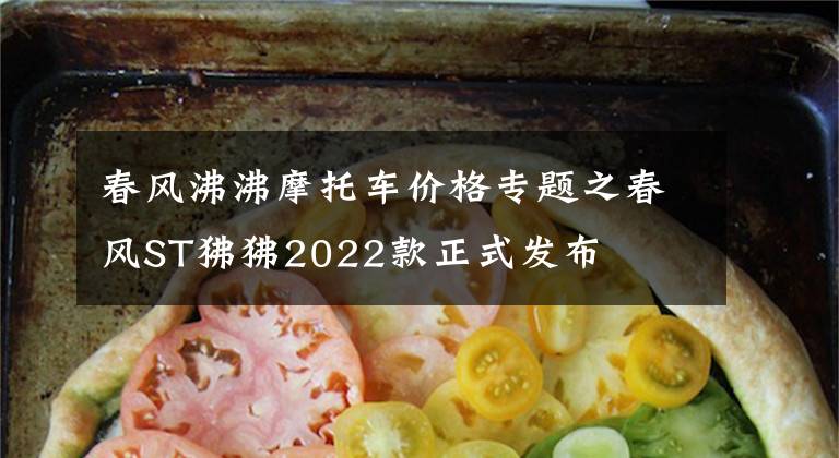 春风沸沸摩托车价格专题之春风ST狒狒2022款正式发布