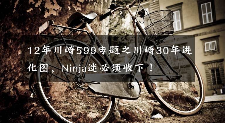 12年川崎599专题之川崎30年进化图，Ninja迷必须收下！