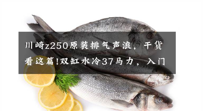 川崎z250原装排气声浪，干货看这篇!双缸水冷37马力，入门级最强街车，川崎Z250ABS版更良心