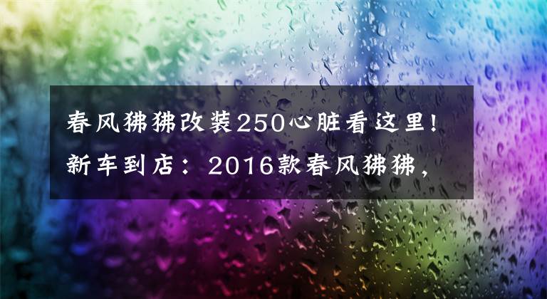 春风狒狒改装250心脏看这里!新车到店：2016款春风狒狒，撩妹神器，潮人必备