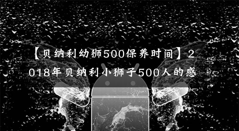 【贝纳利幼狮500保养时间】2018年贝纳利小狮子500人的感觉