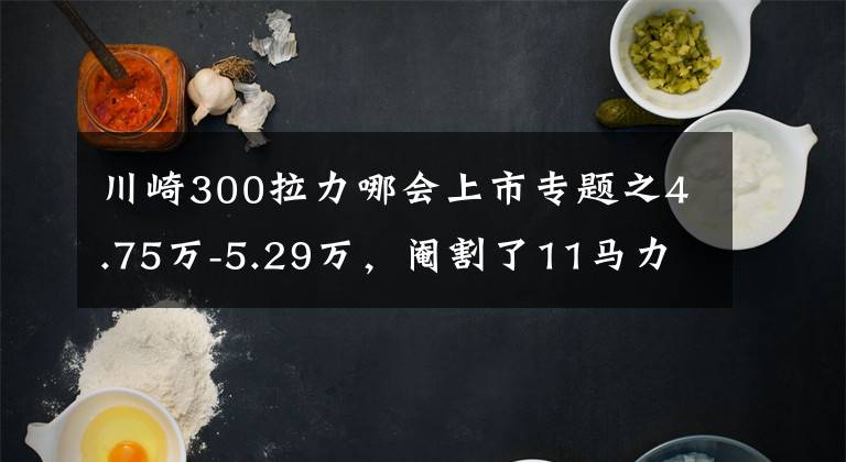 川崎300拉力哪会上市专题之4.75万-5.29万，阉割了11马力的川崎Versys-X300能有多少买家？