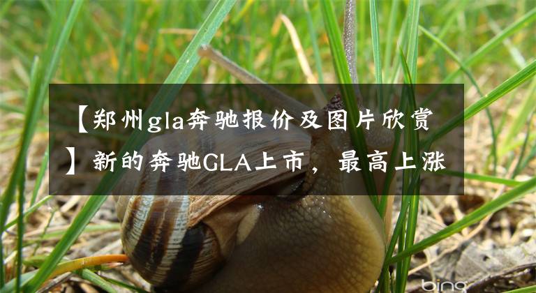【郑州gla奔驰报价及图片欣赏】新的奔驰GLA上市，最高上涨了1.55万韩元，但还是有2.0T