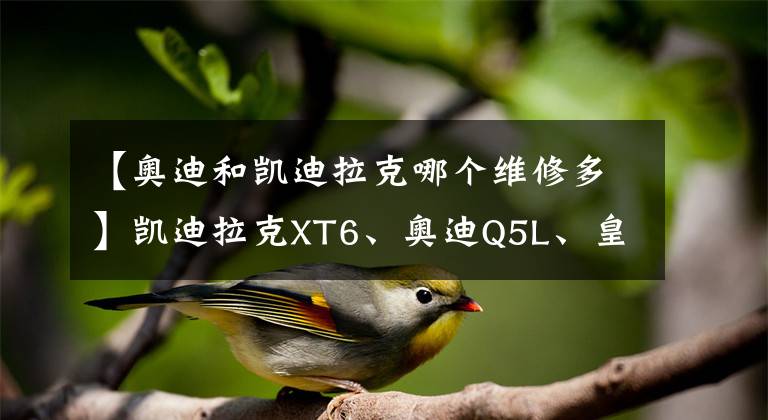 【奥迪和凯迪拉克哪个维修多】凯迪拉克XT6、奥迪Q5L、皇冠陆放，三款热门豪华SUV该怎么选？